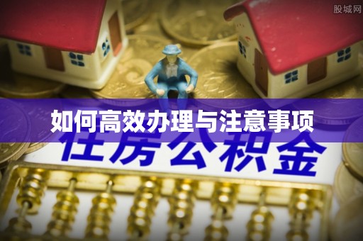 清溪如何高效办理与注意事项