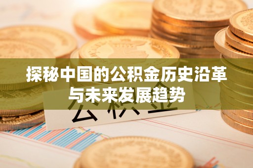 清溪探秘中国的公积金历史沿革与未来发展趋势