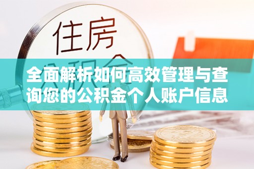 清溪全面解析如何高效管理与查询您的公积金个人账户信息
