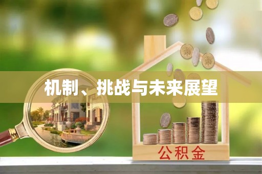 清溪机制、挑战与未来展望
