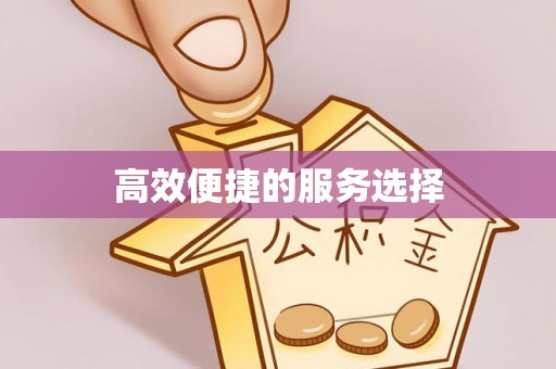 清溪高效便捷的服务选择