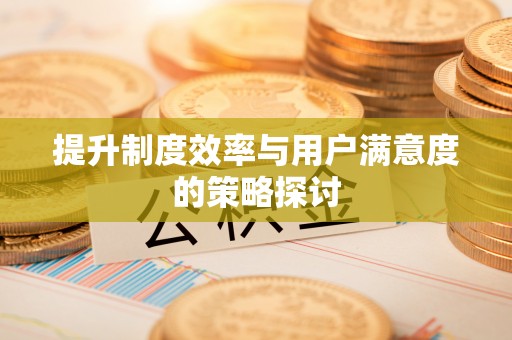 清溪提升制度效率与用户满意度的策略探讨