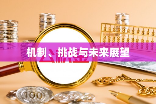 清溪机制、挑战与未来展望